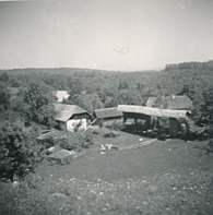eika image